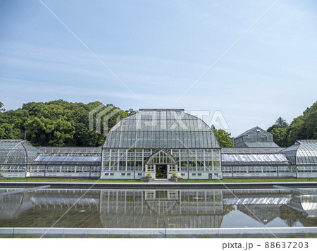 新緑の東山植物園 88637203