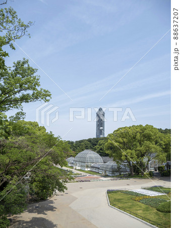 新緑の東山植物園 新緑の東山植物園 88637207