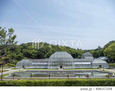 新緑の東山植物園 新緑の東山植物園 88637208