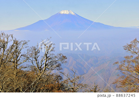 丹沢の檜洞丸より望む初冬の富士山 丹沢の檜洞丸より望む初冬の富士山 88637245