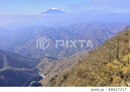 丹沢主稜より紅葉の西丹沢に聳える富士山 88637257