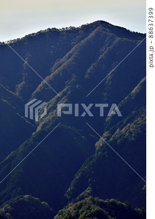 丹沢の石棚山山頂より檜岳山稜の伊勢沢ノ頭を望む 丹沢の石棚山山頂より檜岳山稜の伊勢沢ノ頭を望む 88637399