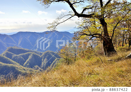 丹沢の石棚山稜より檜岳山稜を望む 88637422