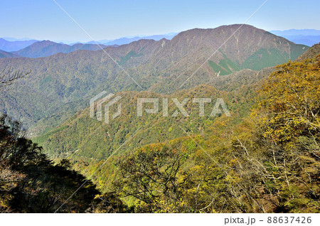 丹沢の石棚山稜　紅葉のテシロノ頭より大室山を望む 88637426