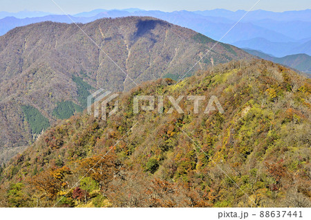 紅葉の丹沢山地 檜洞丸より大室山を望む 紅葉の丹沢山地 檜洞丸より大室山を望む 88637441