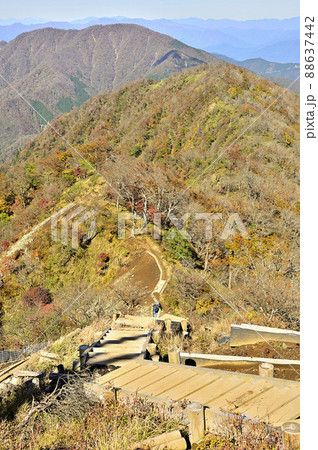 紅葉の丹沢山地 檜洞丸より丹沢主稜の大室山を望む 紅葉の丹沢山地 檜洞丸より丹沢主稜の大室山を望む 88637442