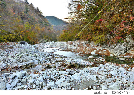 丹沢の檜洞丸 つつじ新道 紅葉のゴーラ沢出合 丹沢の檜洞丸 つつじ新道 紅葉のゴーラ沢出合 88637452