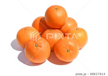 柑橘類（たんかん） 88637814