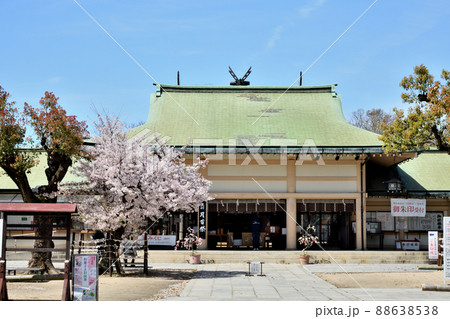 生國魂神社  【大阪市天王寺区生玉町】 88638538