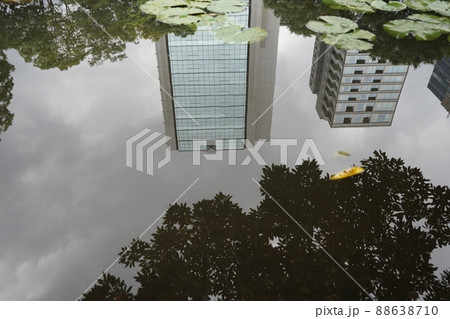 池に写る逆さビル 88638710