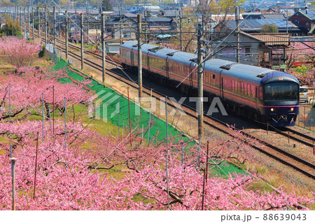 満開の桃が咲く春の甲府盆地 88639043