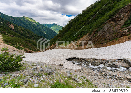 針ノ木岳　後立山連峰　雪渓 88639330