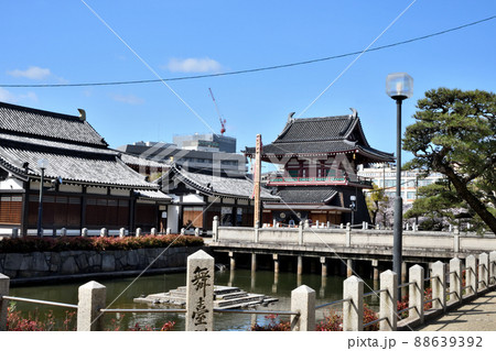 四天王寺(亀の池)【大阪府大阪市天王寺区】 四天王寺(亀の池)【大阪府大阪市天王寺区】 88639392