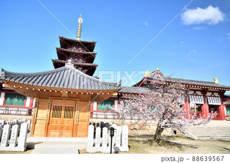 四天王寺(五重塔) 【大阪府大阪市天王寺区】 四天王寺(五重塔) 【大阪府大阪市天王寺区】 88639567