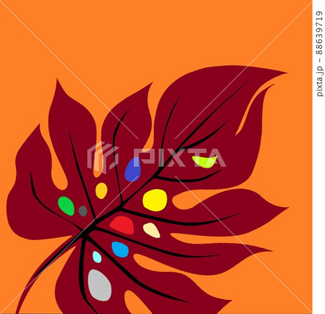 木の葉 イラスト モンステラ属2 88639719