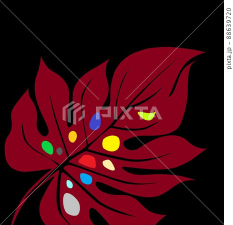 木の葉 イラスト モンステラ属3 88639720