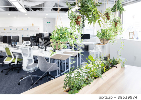 観葉植物のあるオフィス 88639974