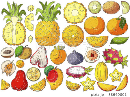 Set of vector illustrations in hand drawn style 88640801
