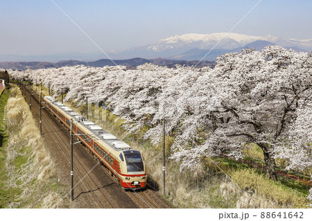 白石川と一目千本桜 88641642