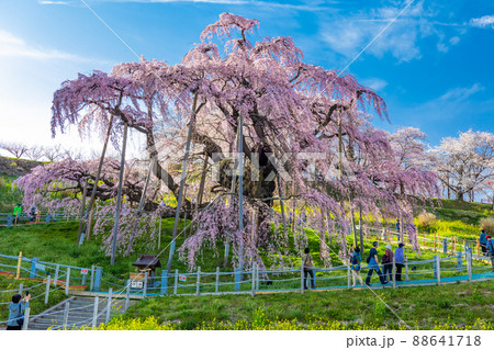 青空と滝桜1 88641718