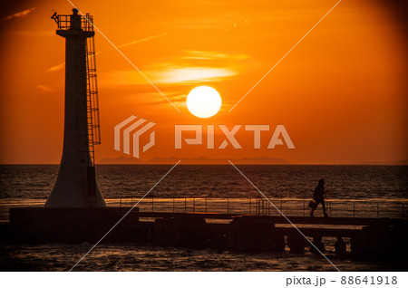 九州オルレ南島原コース 88641918