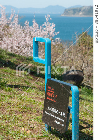 九州オルレ南島原コース 九州オルレ南島原コース 88641922