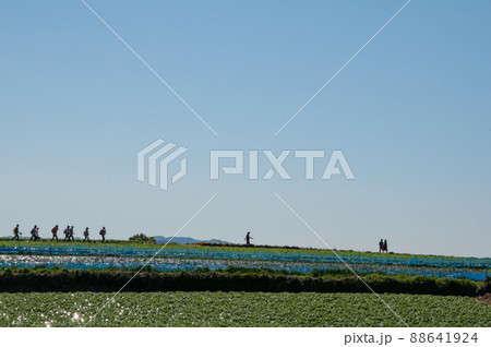 九州オルレ南島原コース 九州オルレ南島原コース 88641924