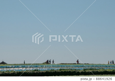 九州オルレ南島原コース 九州オルレ南島原コース 88641926