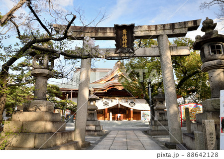 岸城神社(鳥居・本殿) 【大阪府岸和田市】 岸城神社(鳥居・本殿) 【大阪府岸和田市】 88642128