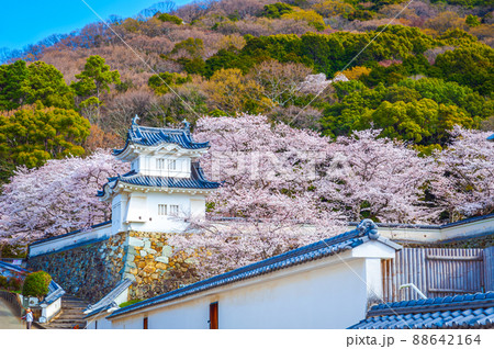 龍野城 桜 龍野城 桜 88642164