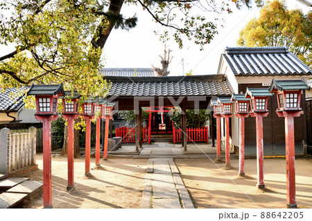 三の丸神社 【大阪府岸和田市】 三の丸神社 【大阪府岸和田市】 88642205
