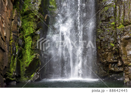 Gorgeous and paradisiacal waterfall of Veu da Noiva (Veil of the Bride) Gorgeous and paradisiacal waterfall of Veu da Noiva (Veil of the Bride) 88642445