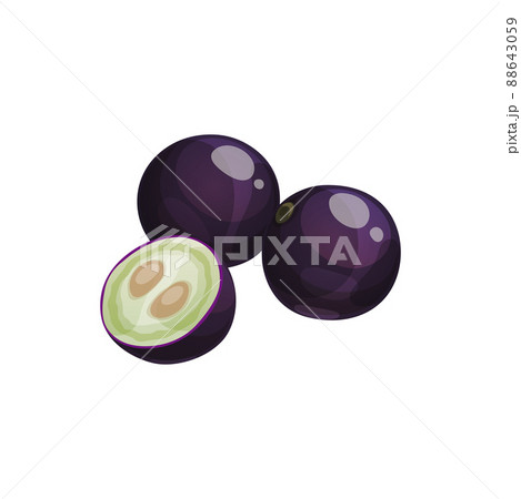 Jaboticaba or jabuticaba purplish black fruit exotic tropical food used to make jams, juices, liqueur or wine. Typical Brazil fruit, Plinia cauliflora, Brazilian grapetree, jaboticaba whole and cut 88643059
