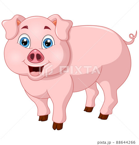Cute pig cartoon on white background 88644266