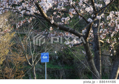 電気自動車の急速充電スポットの標識 88644486
