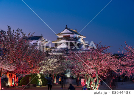 （愛媛県）夜桜満開の松山城　ライトアップ 88644488
