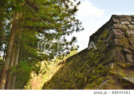 春の岩村城跡 岐阜 春の岩村城跡 岐阜 88644561