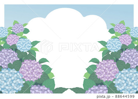 晴れの日の紫陽花のイラスト 88644599