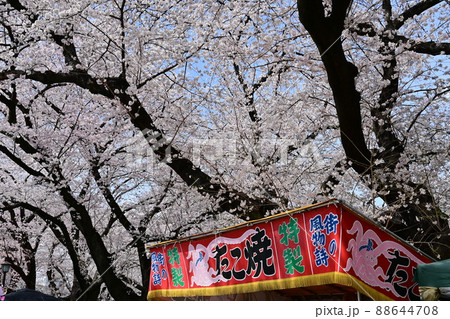 屋台と桜の咲く季節 88644708