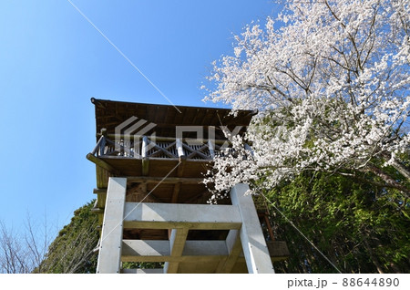 春の農村景観日本一展望所　岐阜 88644890