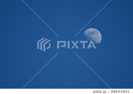 昼の空にみえた白い月 昼の空にみえた白い月 88644891