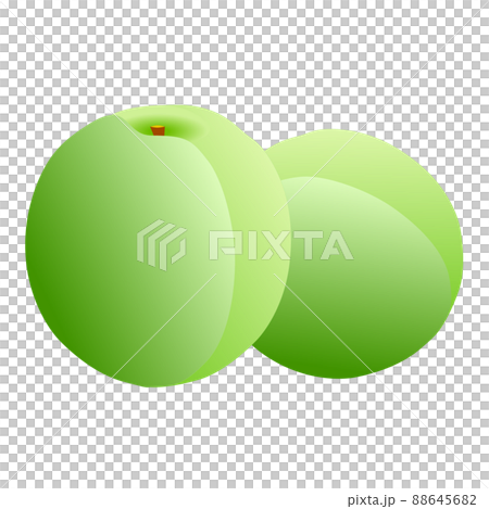 2 green plum fruits on a white background 88645682