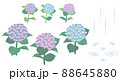 紫陽花と雨の素材イラスト 88645880