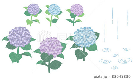 紫陽花と雨の素材イラスト 88645880