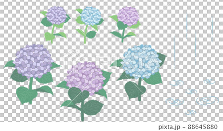 紫陽花と雨の素材イラスト 88645880