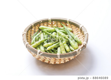 さや大根　緑黄色野菜　健康野菜　京の旬野菜　健康食材　　 88646089