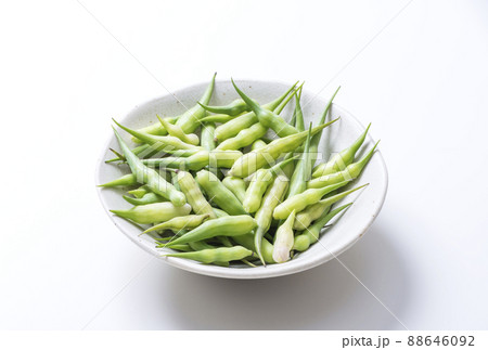 さや大根　緑黄色野菜　健康野菜　京の旬野菜　健康食材　　 88646092