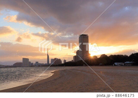 愛宕浜地区から見た、百道浜地区から昇る朝日 88646175