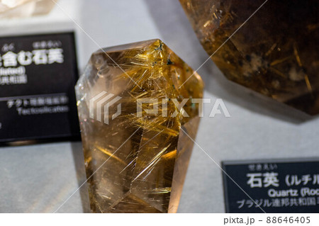 石英ルチルを含む石英 石英ルチルを含む石英 88646405