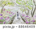 庭 庭園 ガーデン 88646409
